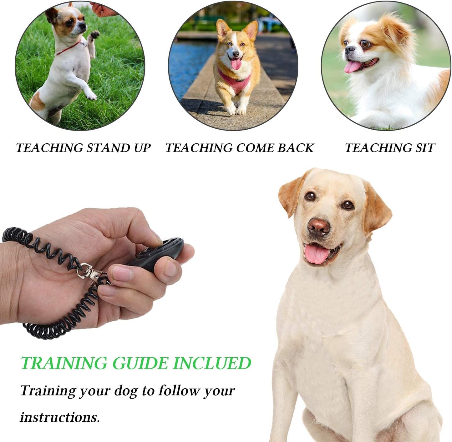 4-in-1 Dog Training Kit – Treat Pouch, Clicker, Whistle & Doorbells