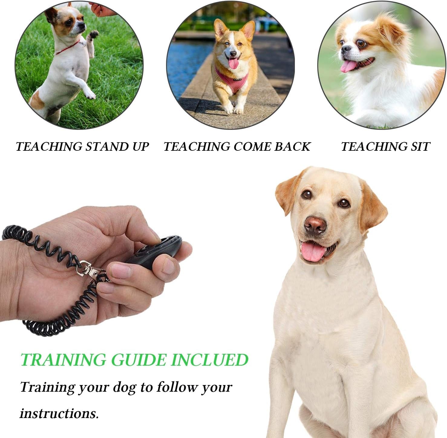 4-in-1 Dog Training Kit – Treat Pouch, Clicker, Whistle & Doorbells