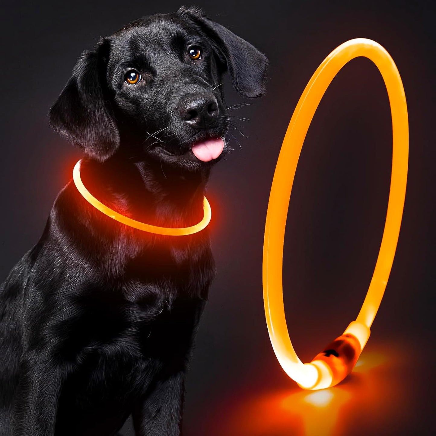 Light up Dog Collar - Waterproof LED Pet Collar Rechargeable, TPU Cuttable Glow in the Dark Dog Lights for Night Walking (Pink)