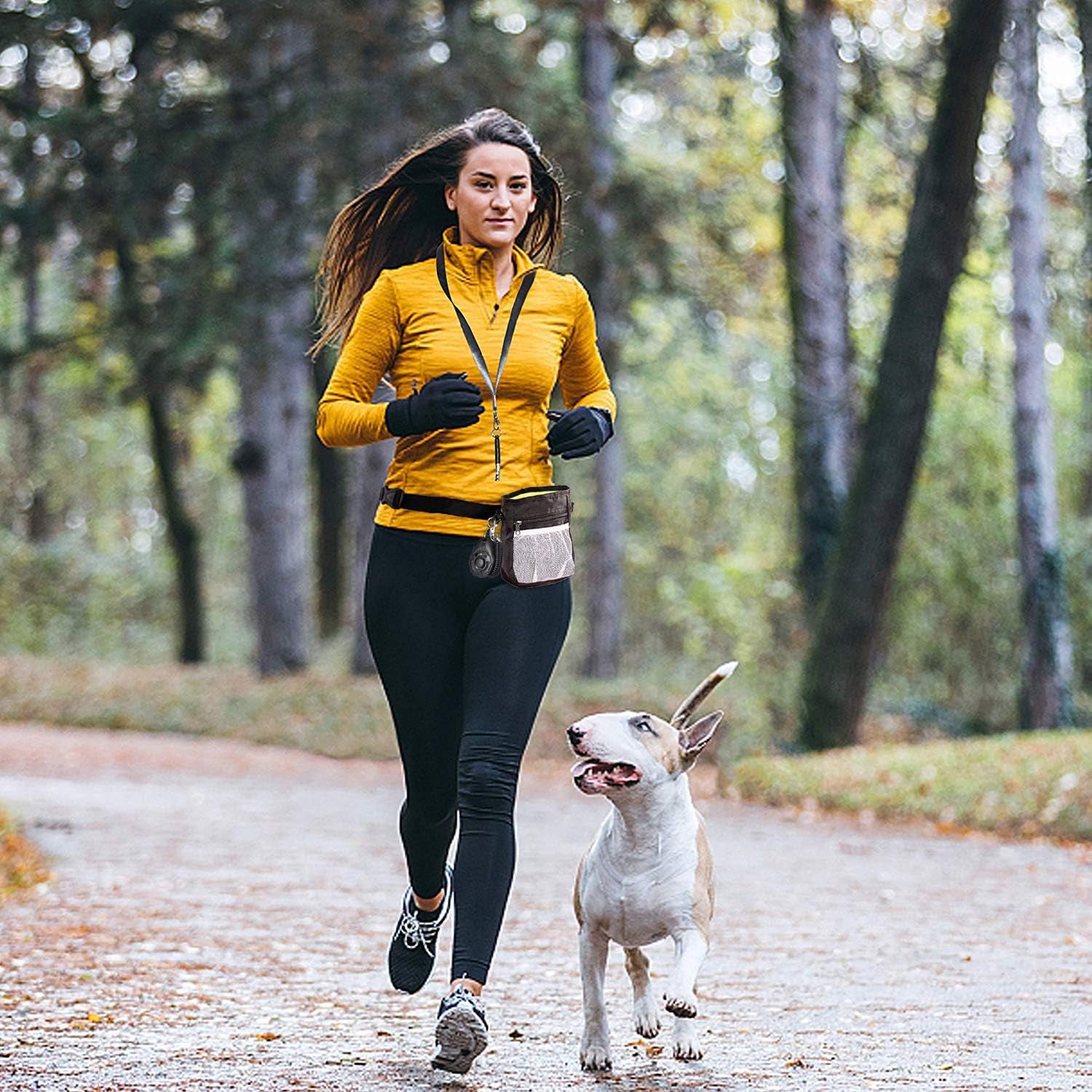 4-in-1 Dog Training Kit – Treat Pouch, Clicker, Whistle & Doorbells